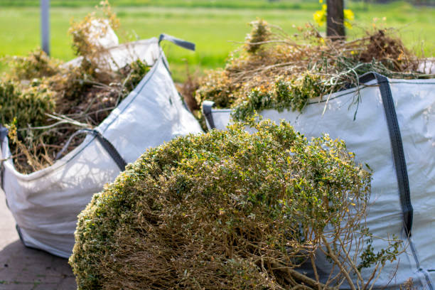 Best Moving and Downsizing Cleanouts  in South Sioux City, NE